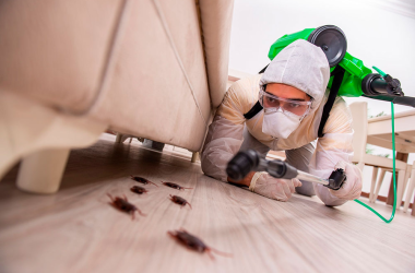 imagen 2025 09 05 123714145