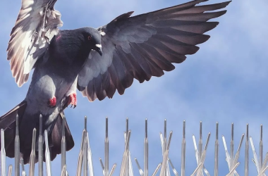 imagen 2025 09 05 124200538