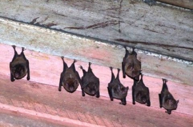 imagen 2025 09 05 124354378