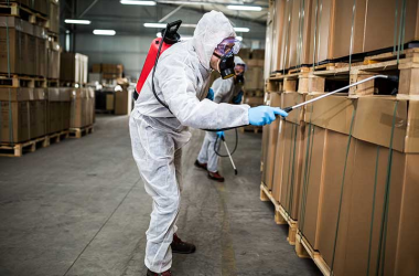 imagen 2025 09 05 124634809