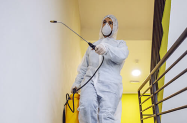 imagen 2025 09 05 125000133