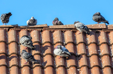 imagen 2025 09 05 125232397